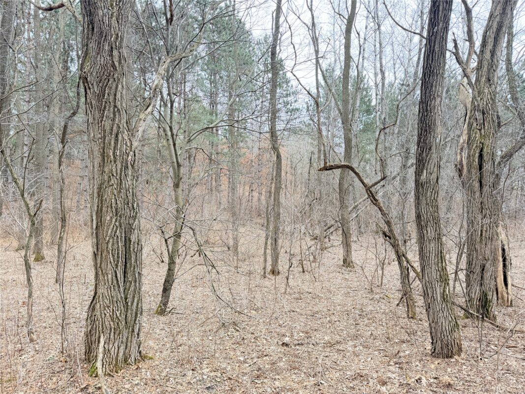 Lot 2 Big Lake Drive Osceola WI 54020 — photo 15