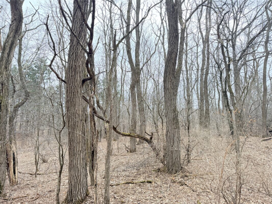 Lot 2 Big Lake Drive Osceola WI 54020 — photo 16