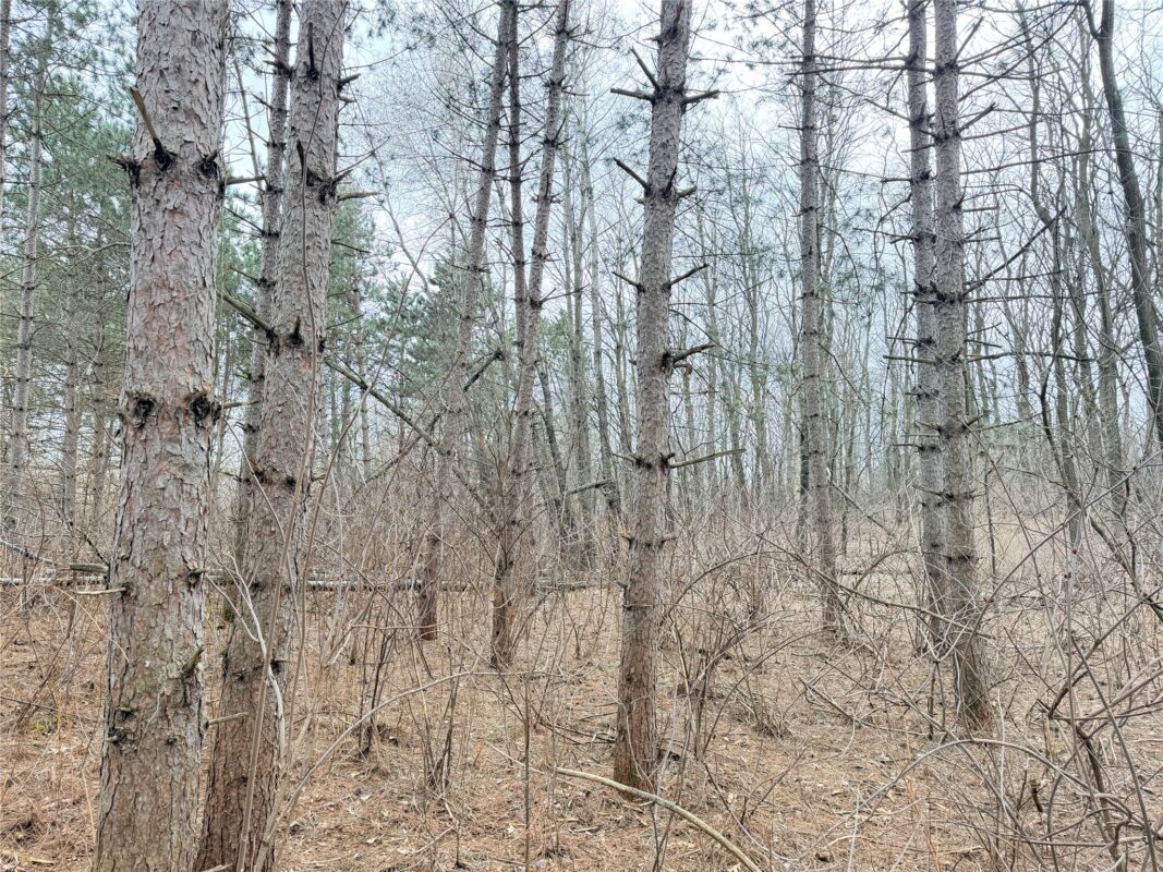 Lot 2 Big Lake Drive Osceola WI 54020 — photo 17
