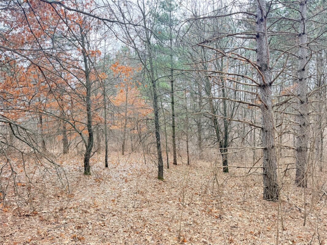 Lot 2 Big Lake Drive Osceola WI 54020 — photo 18