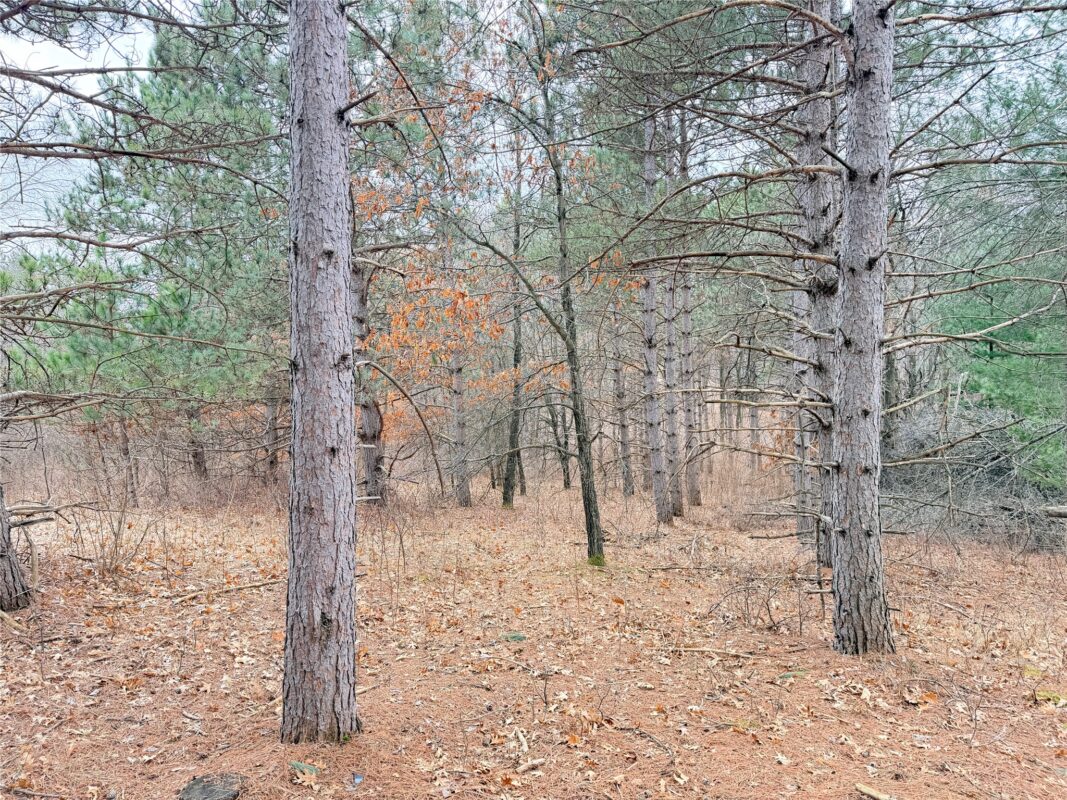 Lot 2 Big Lake Drive Osceola WI 54020 — photo 19