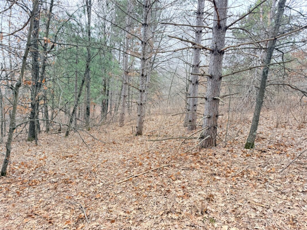 Lot 2 Big Lake Drive Osceola WI 54020 — photo 2