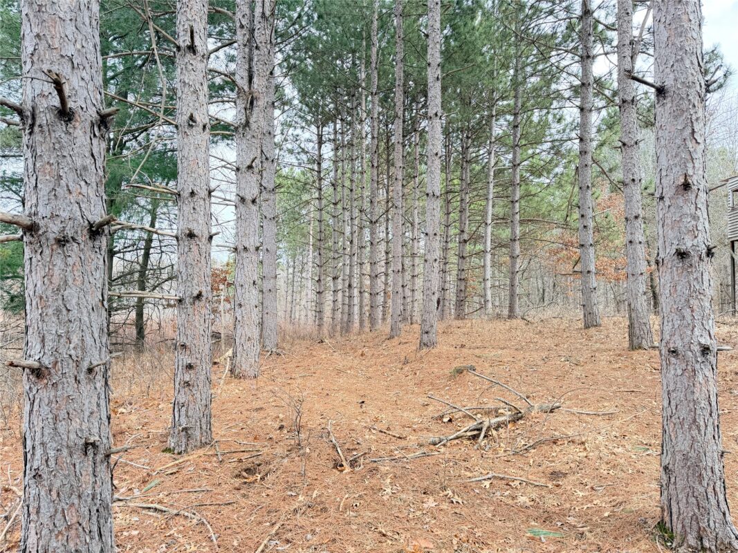 Lot 2 Big Lake Drive Osceola WI 54020 — photo 20