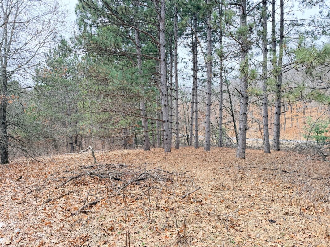 Lot 2 Big Lake Drive Osceola WI 54020 — photo 22