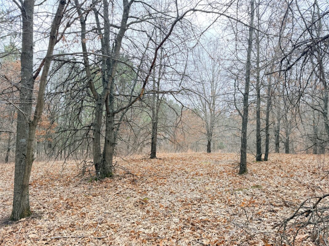 Lot 2 Big Lake Drive Osceola WI 54020 — photo 24