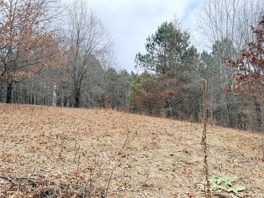 Lot 2 Big Lake Drive Osceola WI 54020 — photo 3