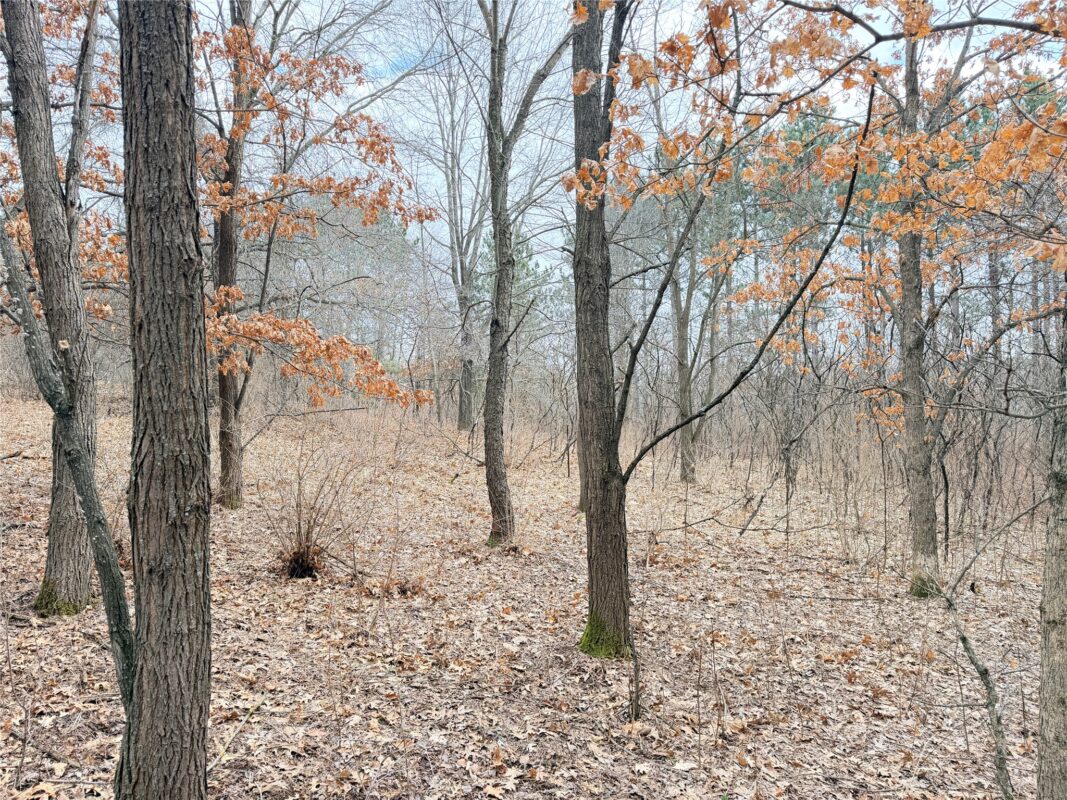 Lot 2 Big Lake Drive Osceola WI 54020 — photo 4