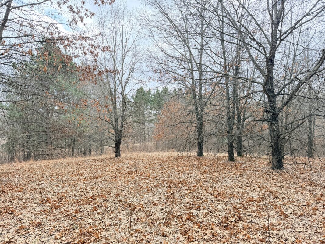 Lot 2 Big Lake Drive Osceola WI 54020 — photo 6