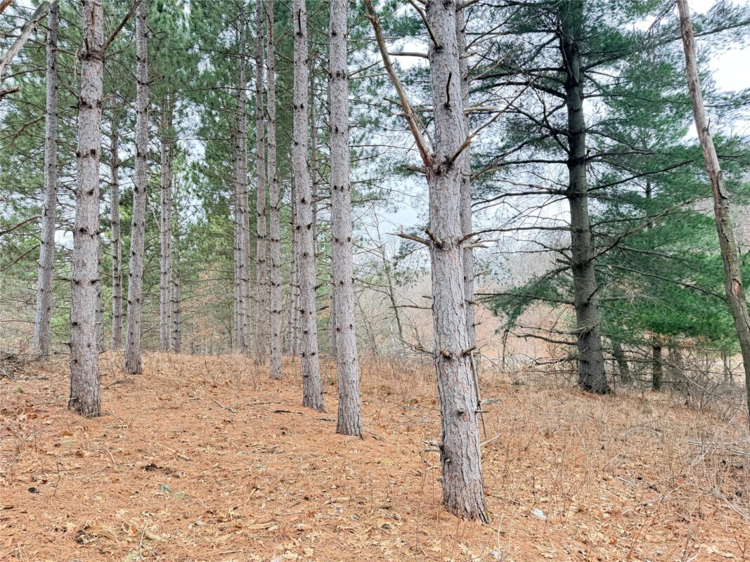 Lot 2 Big Lake Drive Osceola WI 54020 — photo 7