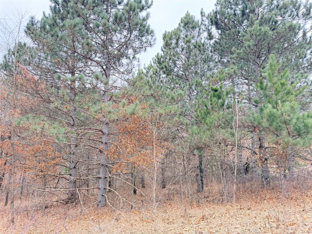 Lot 2 Big Lake Drive Osceola WI 54020 — photo 8