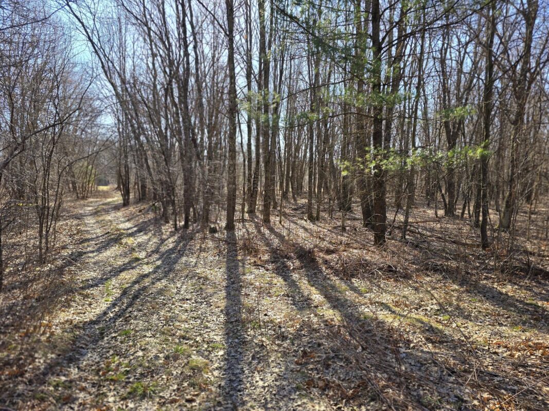 Lot 2 Buck Rub Road Eau Claire WI 54703 — photo 10