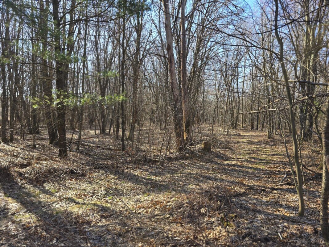 Lot 2 Buck Rub Road Eau Claire WI 54703 — photo 11