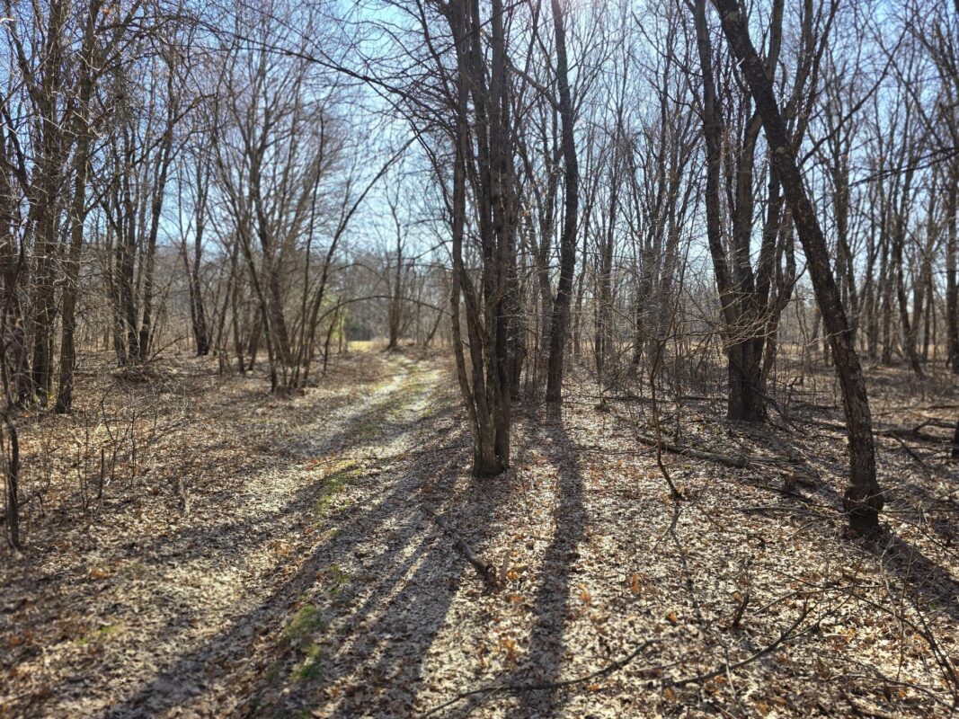 Lot 2 Buck Rub Road Eau Claire WI 54703 — photo 12