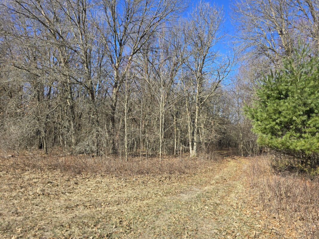Lot 2 Buck Rub Road Eau Claire WI 54703 — photo 13