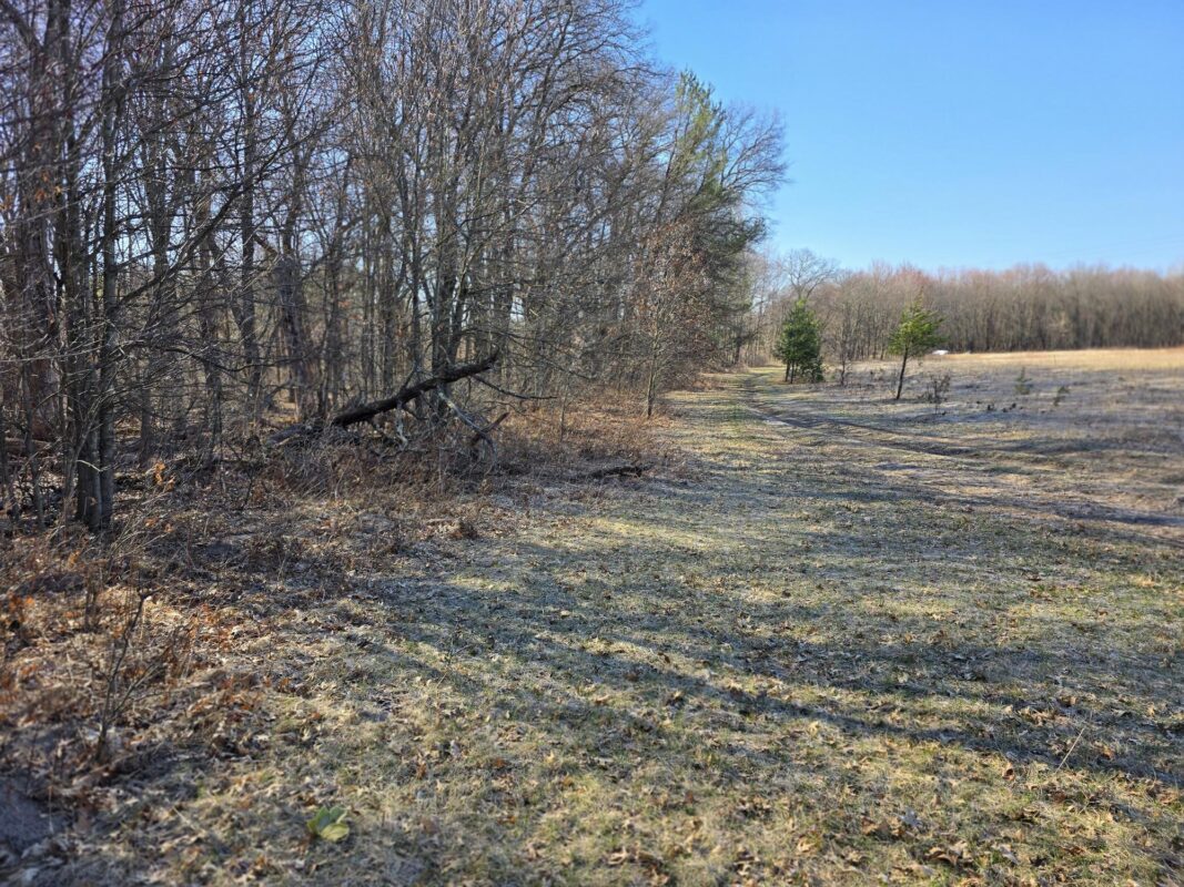 Lot 2 Buck Rub Road Eau Claire WI 54703 — photo 15