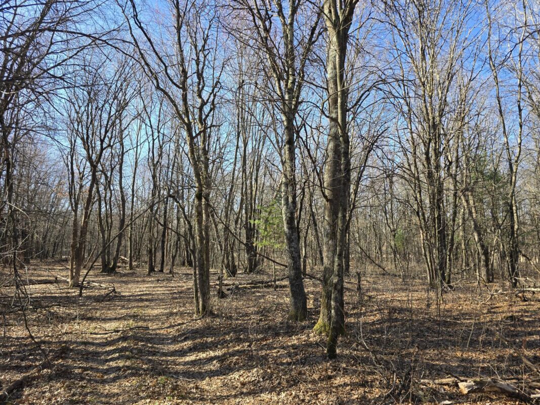 Lot 2 Buck Rub Road Eau Claire WI 54703 — photo 19