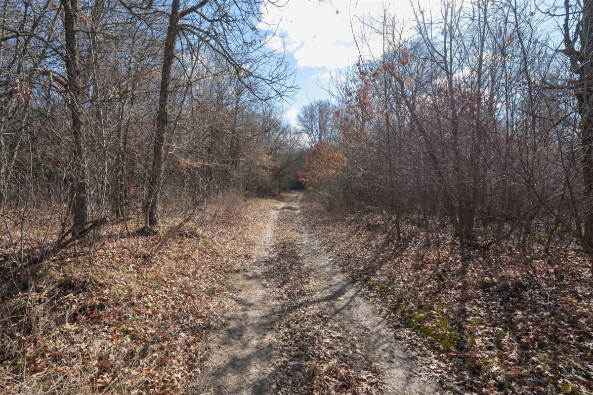 Lot 2 Buck Rub Road Eau Claire WI 54703 — photo 24