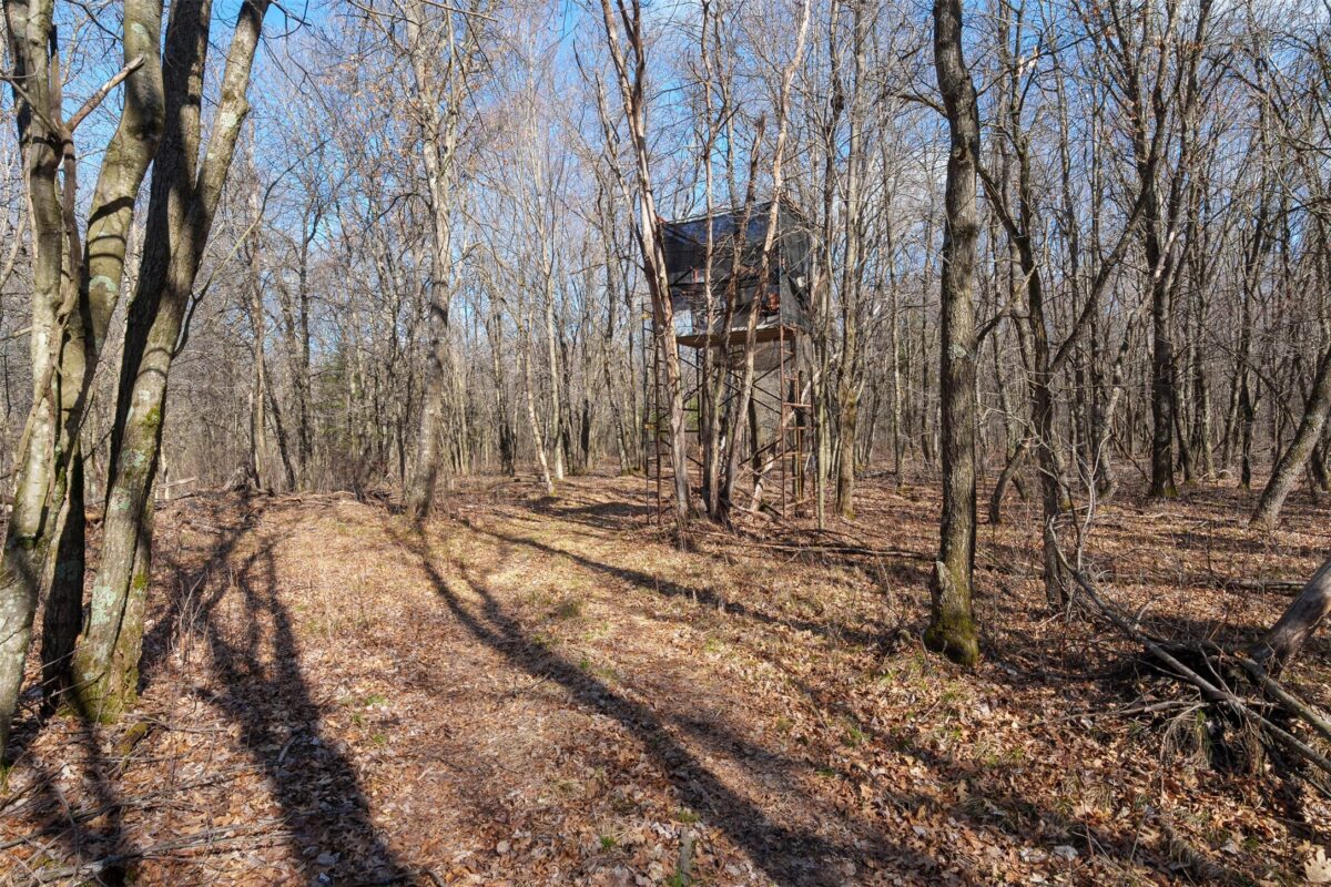 Lot 2 Buck Rub Road Eau Claire WI 54703 — photo 25