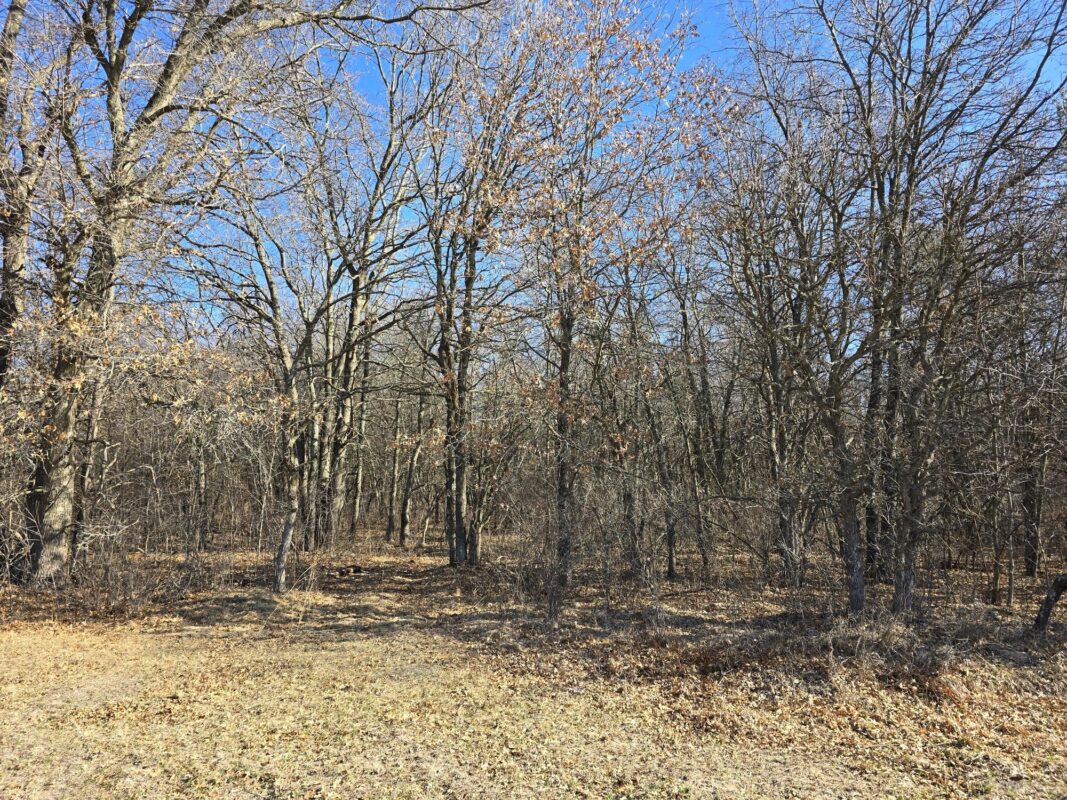 Lot 2 Buck Rub Road Eau Claire WI 54703 — photo 5