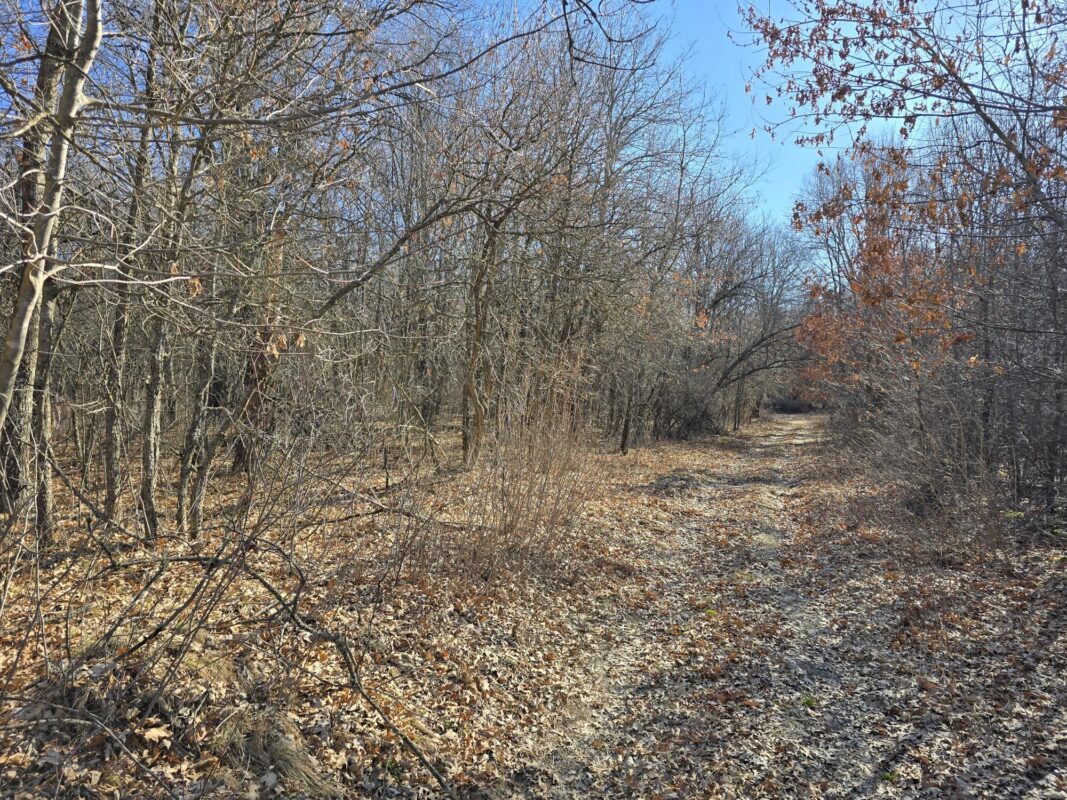 Lot 2 Buck Rub Road Eau Claire WI 54703 — photo 6