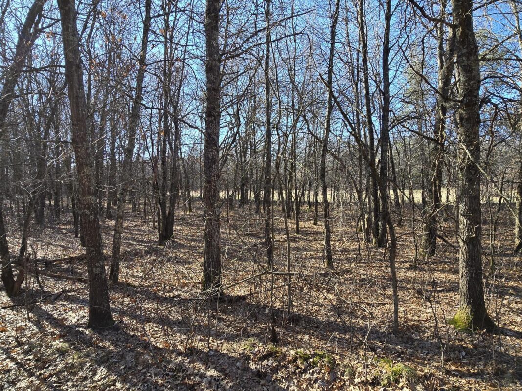 Lot 2 Buck Rub Road Eau Claire WI 54703 — photo 7
