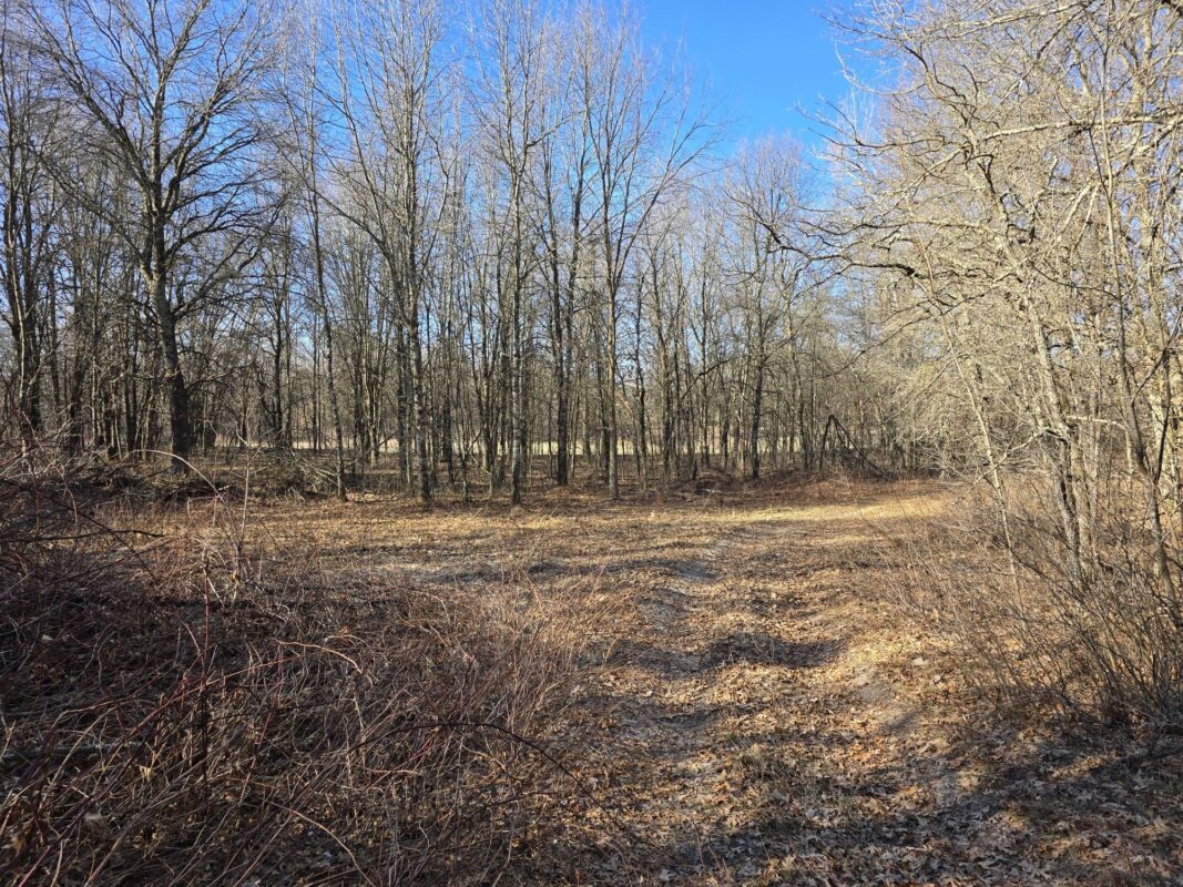 Lot 2 Buck Rub Road Eau Claire WI 54703 — photo 8