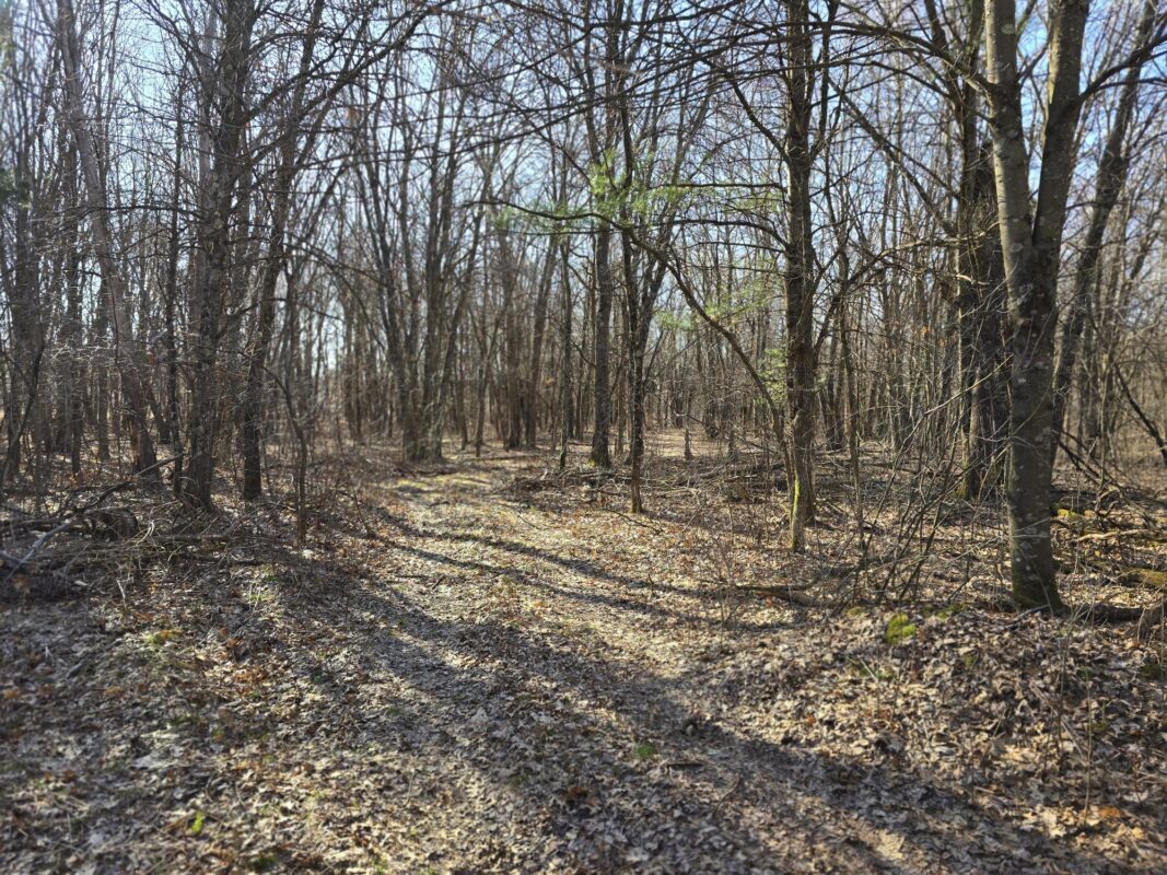 Lot 2 Buck Rub Road Eau Claire WI 54703 — photo 9