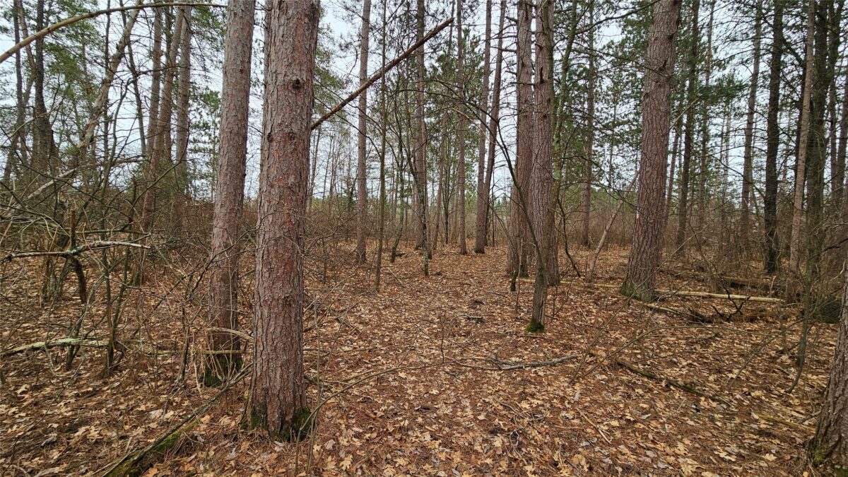 Lot 2 Jenny Lane Hayward WI 54843 — photo 4