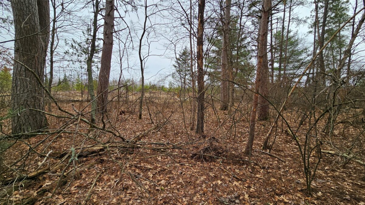 Lot 2 Jenny Lane Hayward WI 54843 — photo 5