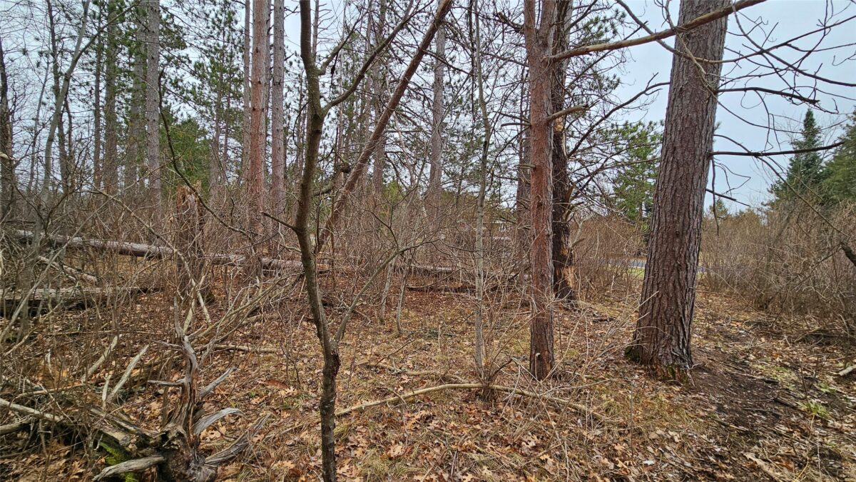 Lot 2 Jenny Lane Hayward WI 54843 — photo 6