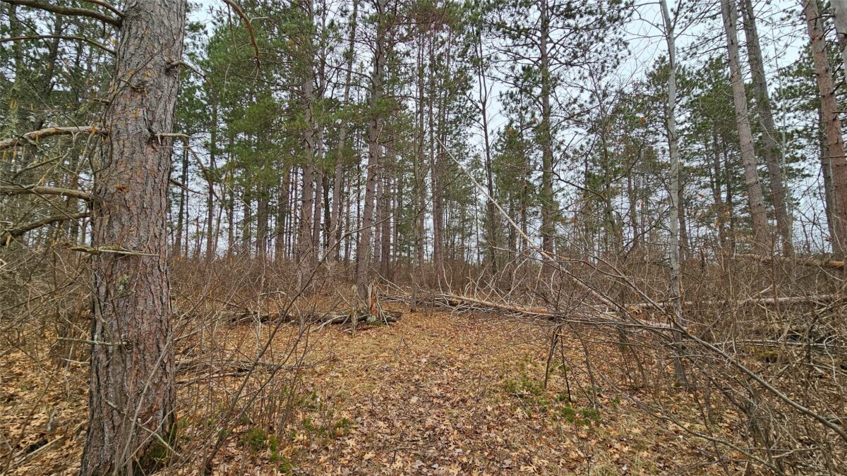 Lot 2 Jenny Lane Hayward WI 54843 — photo 7