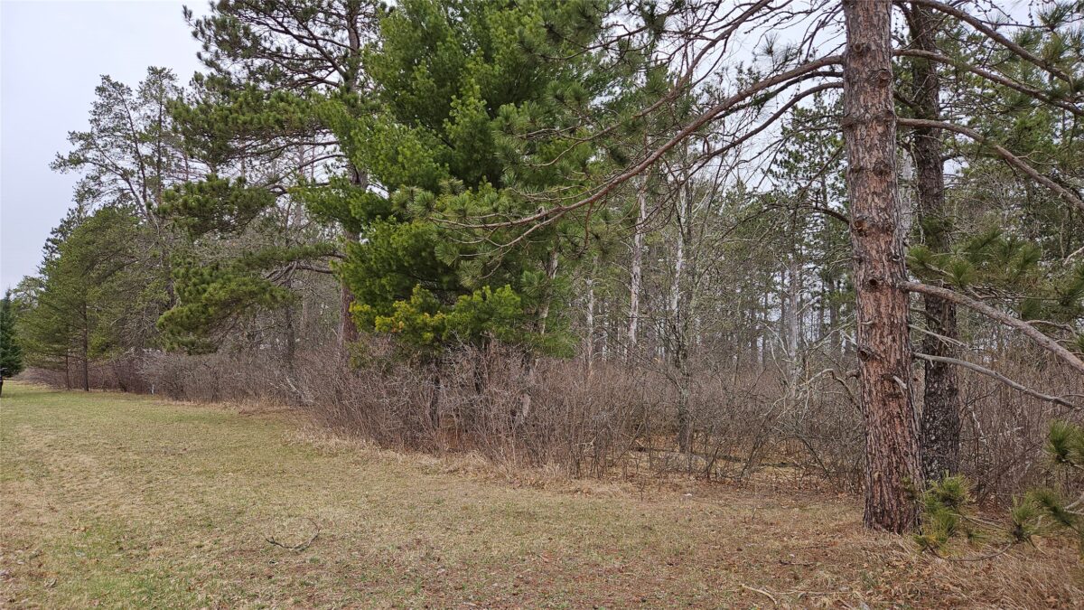 Lot 2 Jenny Lane Hayward WI 54843 — photo 8