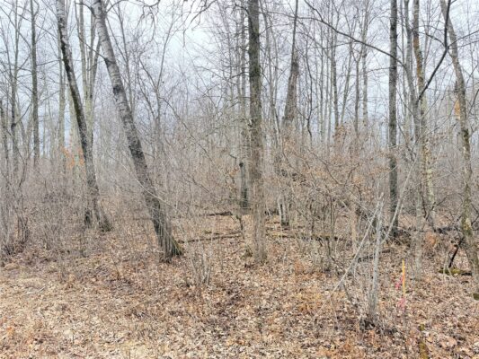Lot 20 28 7/8 Avenue Birchwood WI 54817 — photo 1