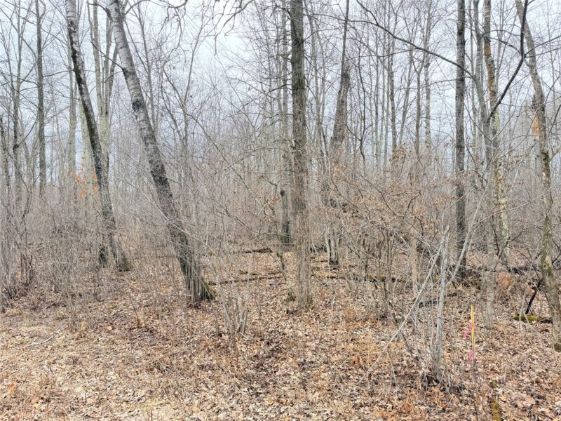 Lot 20 28 7/8 Avenue