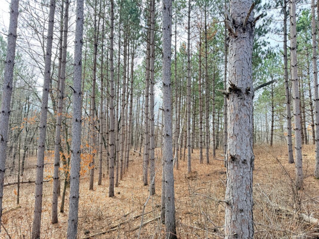 Land at Lot 3 Big Lake Drive, Osceola, WI 54020 — photo 10