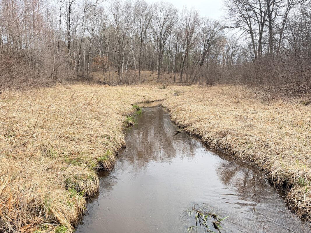 Land at Lot 3 Big Lake Drive, Osceola, WI 54020 — photo 11