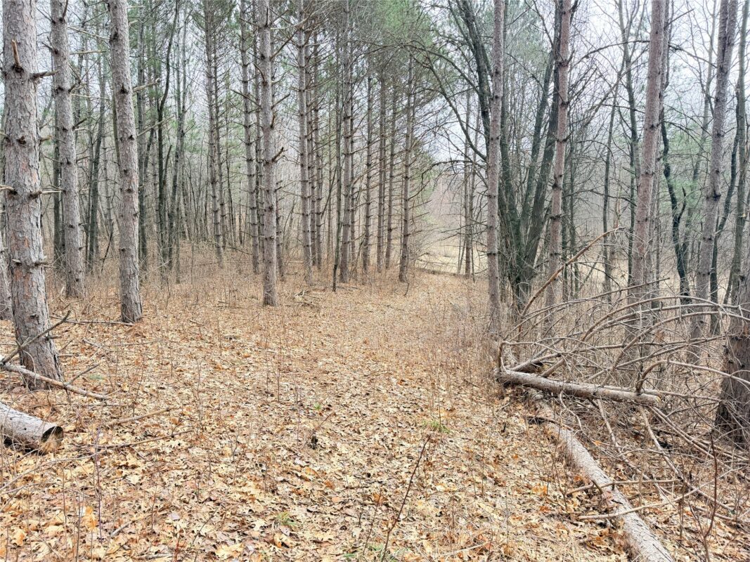 Land at Lot 3 Big Lake Drive, Osceola, WI 54020 — photo 12