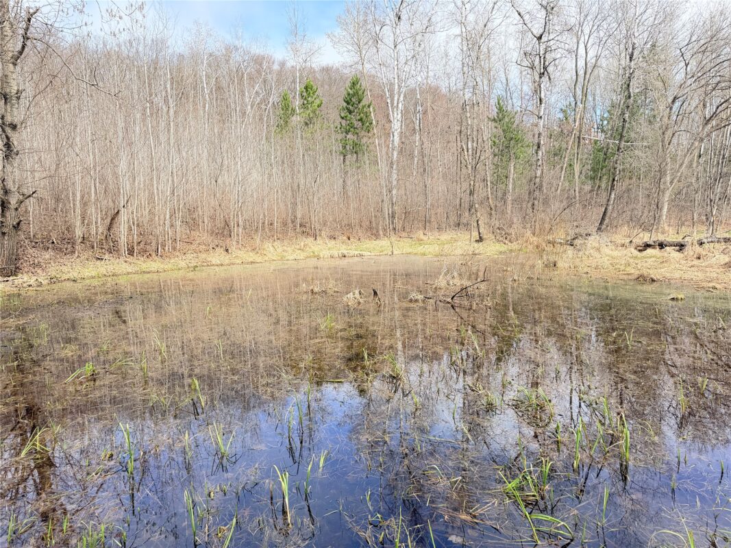 Land at Lot 3 Big Lake Drive, Osceola, WI 54020 — photo 13