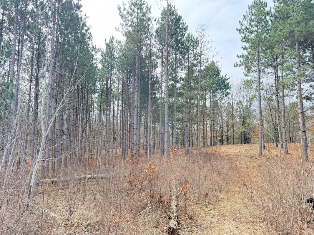 Land at Lot 3 Big Lake Drive, Osceola, WI 54020 — photo 14