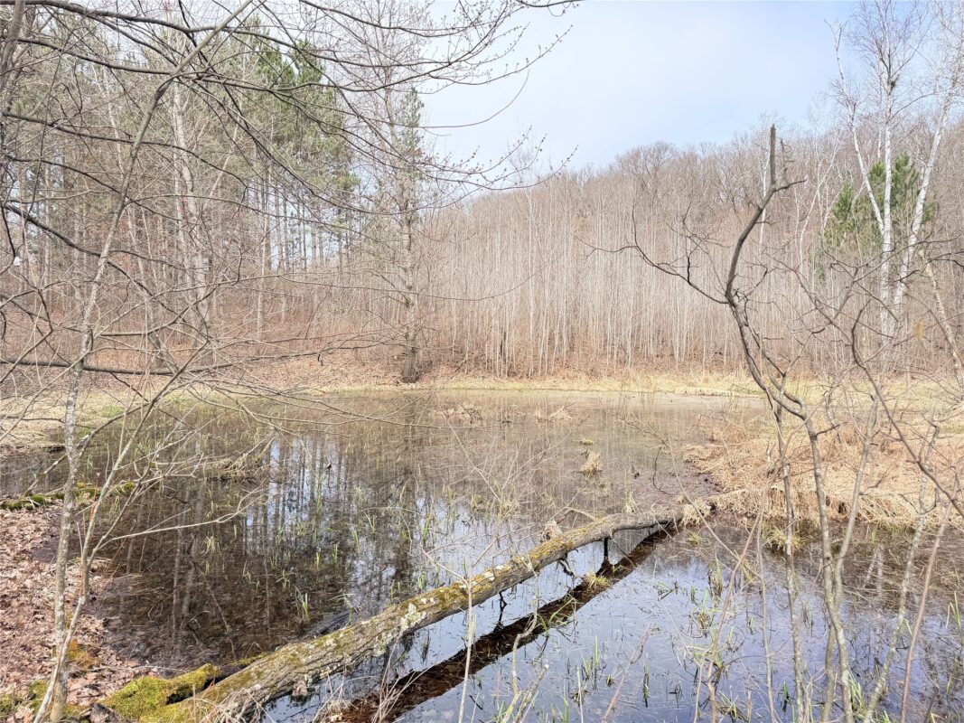 Land at Lot 3 Big Lake Drive, Osceola, WI 54020 — photo 15