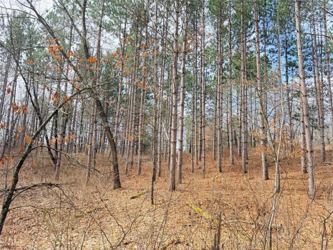 Land at Lot 3 Big Lake Drive, Osceola, WI 54020 — photo 16