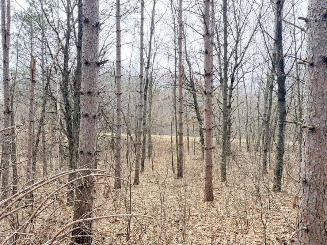 Land at Lot 3 Big Lake Drive, Osceola, WI 54020 — photo 17