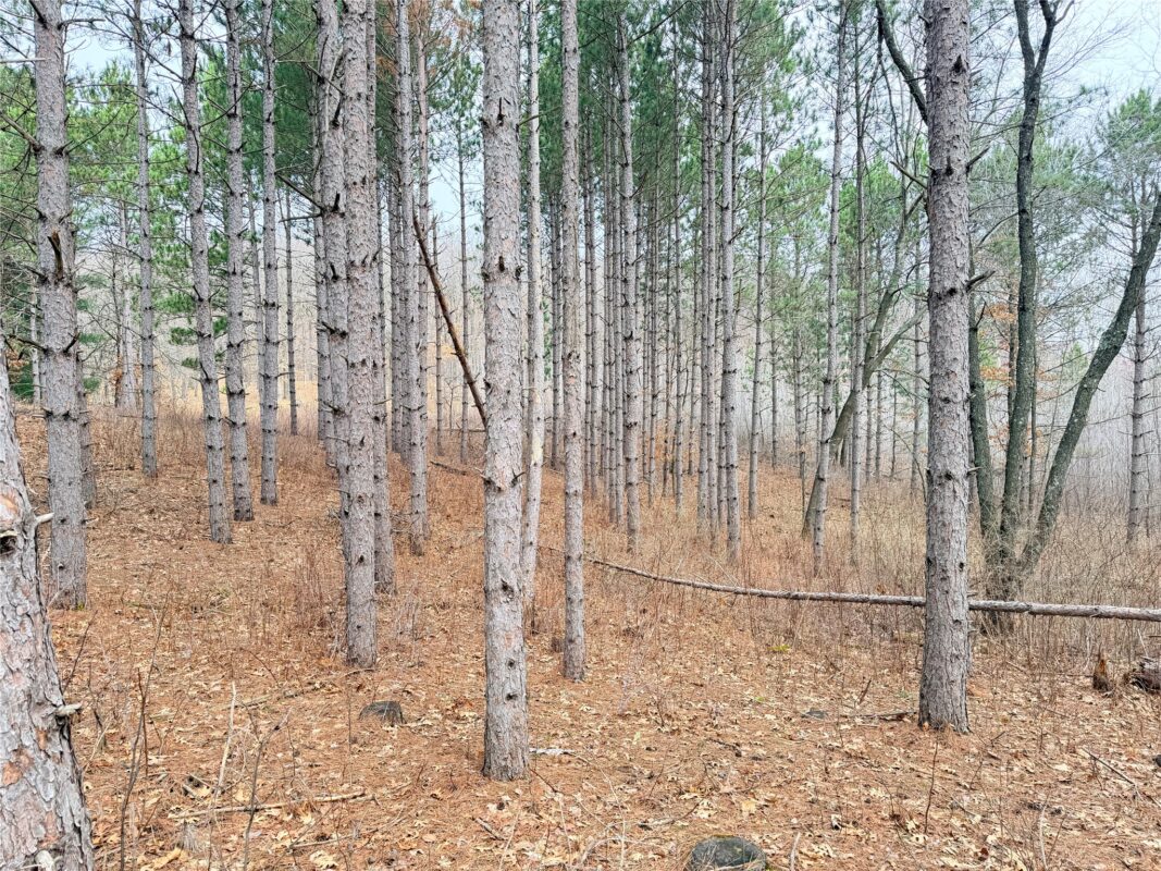 Land at Lot 3 Big Lake Drive, Osceola, WI 54020 — photo 18