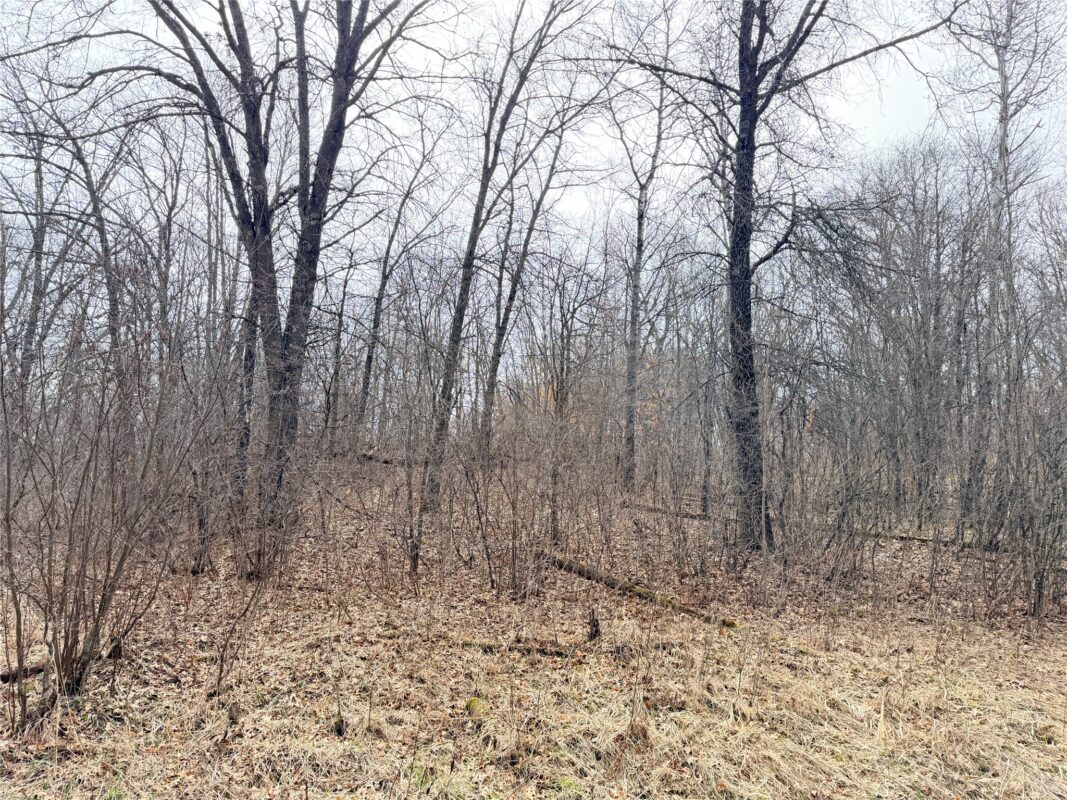 Land at Lot 3 Big Lake Drive, Osceola, WI 54020 — photo 19