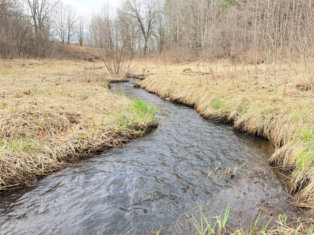 Land at Lot 3 Big Lake Drive, Osceola, WI 54020 — photo 2