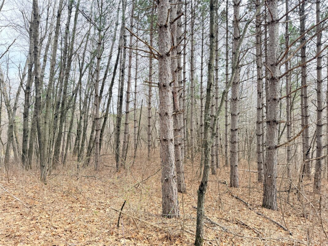 Land at Lot 3 Big Lake Drive, Osceola, WI 54020 — photo 20