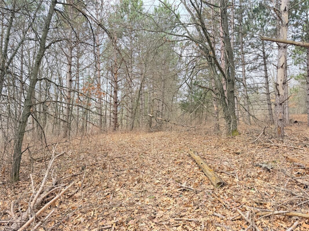 Land at Lot 3 Big Lake Drive, Osceola, WI 54020 — photo 21
