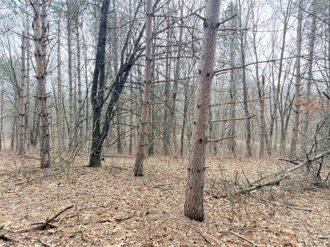 Land at Lot 3 Big Lake Drive, Osceola, WI 54020 — photo 22