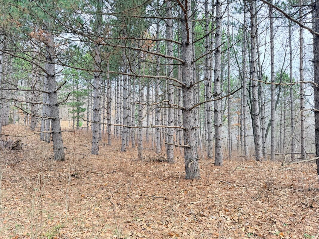 Land at Lot 3 Big Lake Drive, Osceola, WI 54020 — photo 4