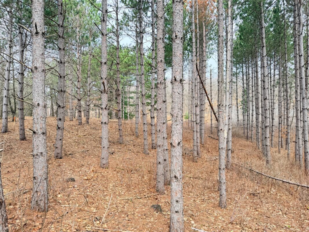 Land at Lot 3 Big Lake Drive, Osceola, WI 54020 — photo 8